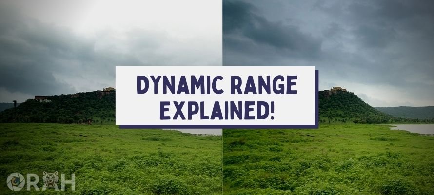 What Is Dynamic Range in Photography