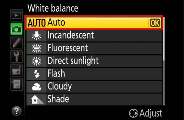 White Balance Auto Mode