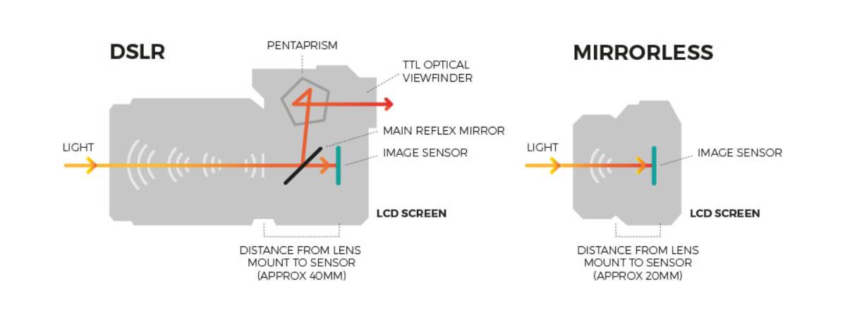 Infographic of how Mirrorless camera works