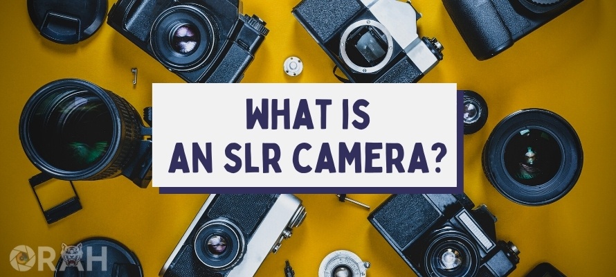 what is an slr camera and how does it work