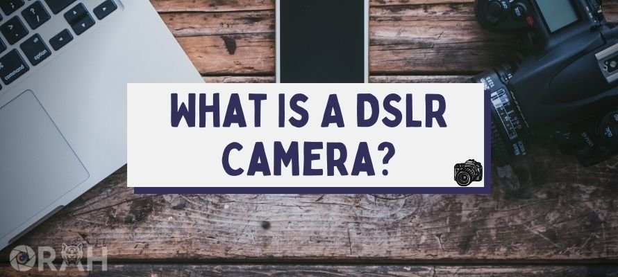 What is a dslr camera?