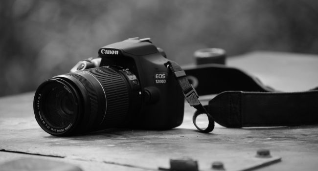 Image of the Canon DSLR Camera