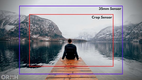 35mm full frame Sensor vs Crop Sensor
