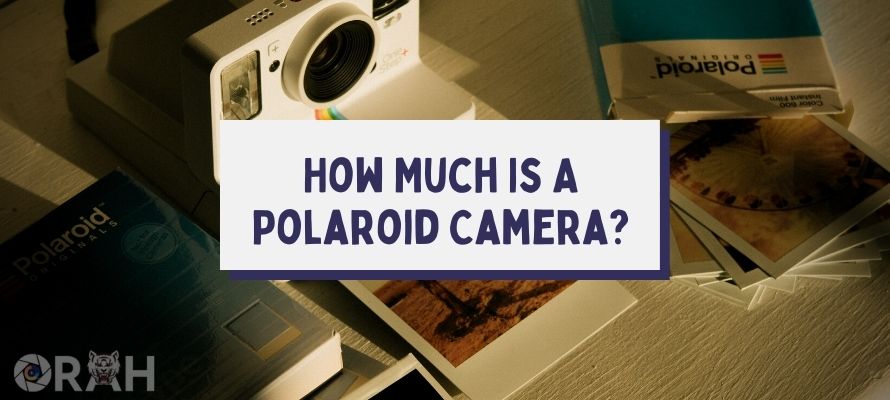 Cover How Much Is A Polaroid Camera