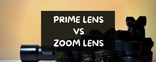Prime vs Zoom Lenses: Which One Should You Buy?