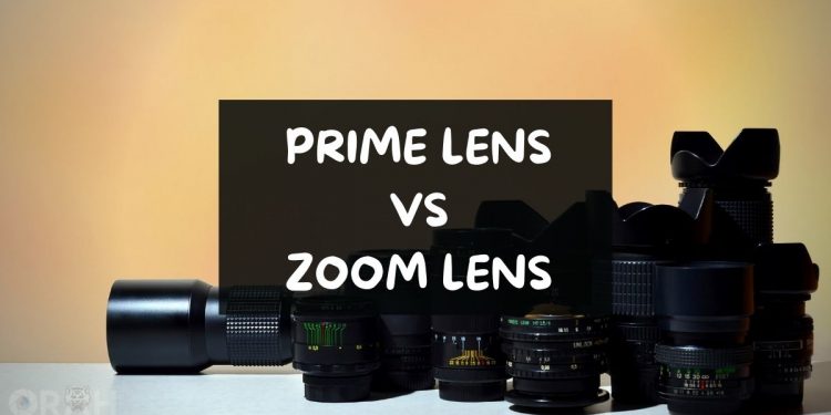 Prime vs Zoom Lenses