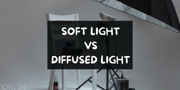 Soft Light Vs Diffused Light