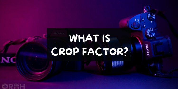 What Is Crop Factor