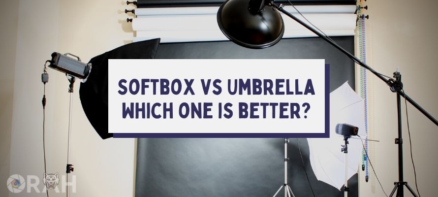 umbrella light vs softbox