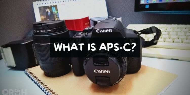 What Is APS C