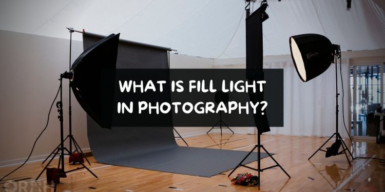 What Is Fill Light In Photography
