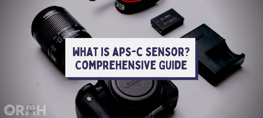what is apsc sensor