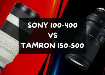 Sony 100-400 vs Tamron 150-500