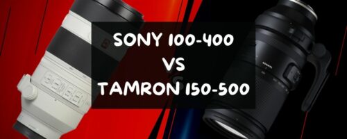 Sony 100-400 vs. Tamron 150-500 (Get Right Answers)