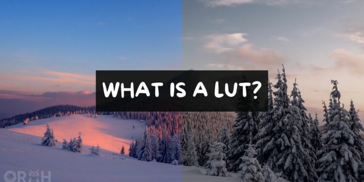 What Is A Lut