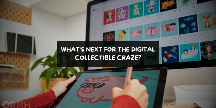 What's Next for the Digital Collectible Craze