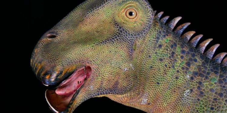 What Dinosaur Has 500 Teeth? A Comprehensive Exploration
