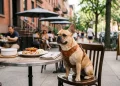 Dog Cafe NYC Locations